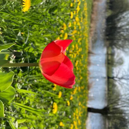 Дом отдыха Elbferienhaus - Raum Fuer Gemeinsames Urlauben An Der Elbe