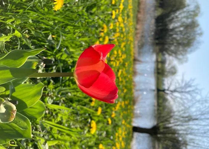 別荘 Elbferienhaus - Raum Fuer Gemeinsames Urlauben An Der Elbe
